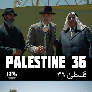 Bilder Palästina 36