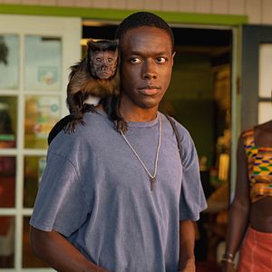 Bilder Carl Hiaasen’s Bad Monkey