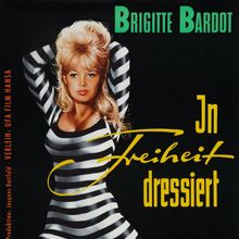 Bilder In Freiheit dressiert