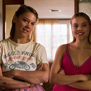 Bilder Der Spatz im Kamin