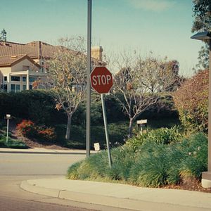 Bilder Memory Wars - Elizabeth Loftus und die Macht der Erinnerung