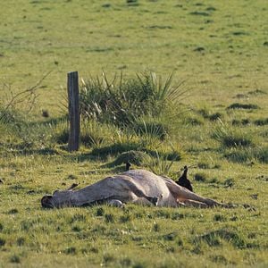 Bilder Im Umkreis des Paradieses