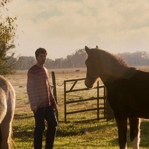 Bilder My Beautiful Teacher - eine gefährliche Affäre