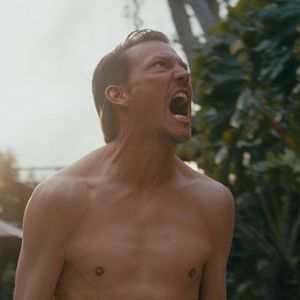 Bilder Hochstapler und Ponys