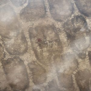 Bilder Attack on Titan: The Last Attack