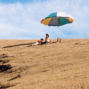 Bilder Der Botaniker