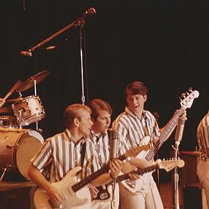 Bilder The Beach Boys