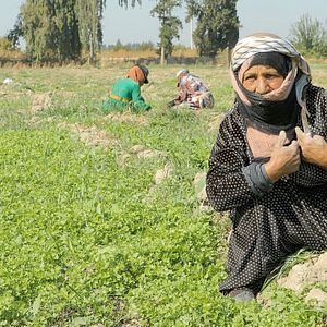Bilder Tevî her tiştî – Trotz alledem