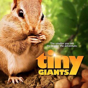 Bilder Tiny Giants