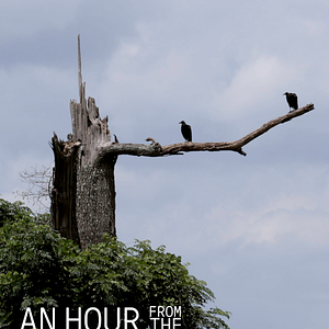 Bilder An Hour From The Middle Of Nowhere