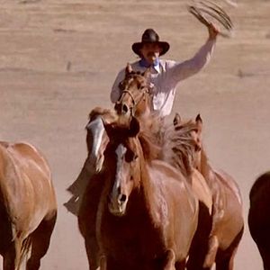 Bilder Ein Mann aus Stahl