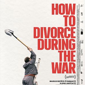 Bilder How to Divorce During the War