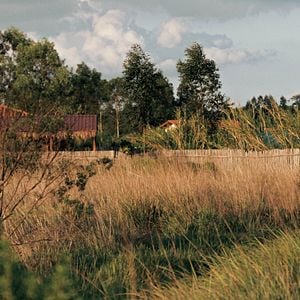 Bilder Im Umkreis des Paradieses