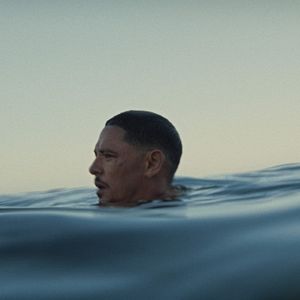 Bilder The Heart Is A Muscle