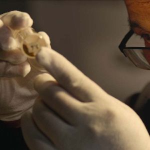 Bilder Mysteries Of The Terracotta Warriors