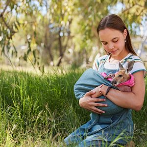 Bilder Lilly und die Kängurus