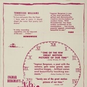 Bilder Wilde Erdbeeren