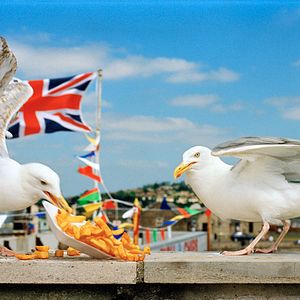 Bilder I Am Martin Parr