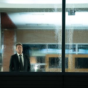 Bilder David Duchovny