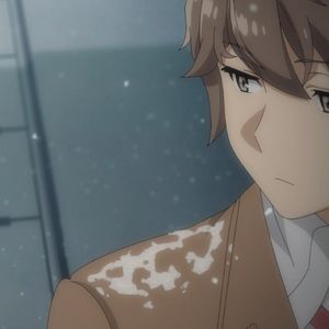 Bilder Rascal Does Not Dream