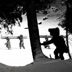 Bilder Hundreds Of Beavers