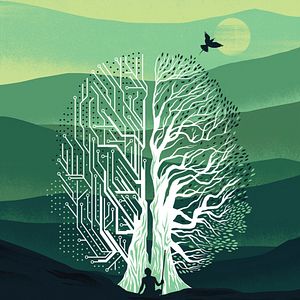 Bilder Tawai: A Voice from the Forest