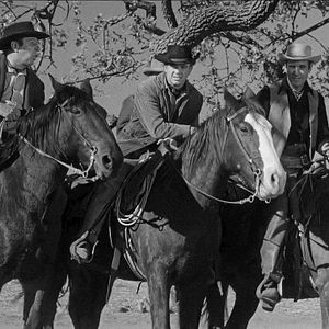 Bilder Kampf ohne Gnade