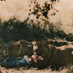 Bilder Mondo Bestiale - Der letzte Schrei des Dschungels