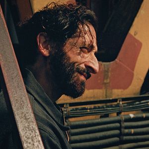 Bilder Adrien Brody