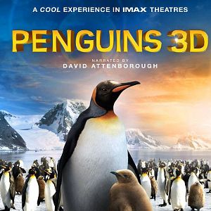 Bilder Adventures Of The Penguin King