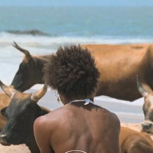 Bilder I Only Rest In The Storm