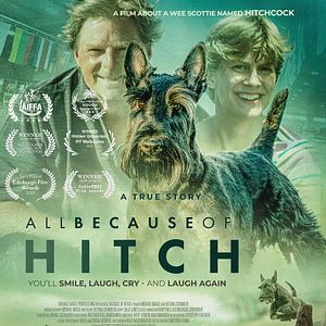 Bilder All Because Of Hitch
