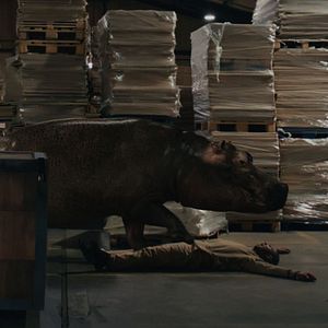Bilder Hippo's Revenge - Drei Tonnen Zorn
