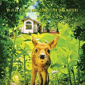 Bilder Backyard Wilderness