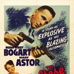 Bilder Die Spur des Falken