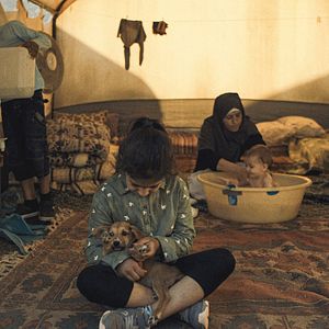 Bilder Das Los des Fremden