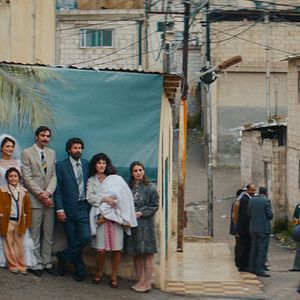 Bilder Im Schatten des Orangenbaums
