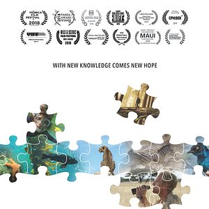 Bilder The Serengeti Rules