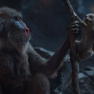 Bilder Mufasa: Der König der Löwen