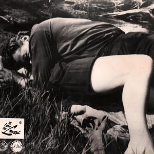 Bilder Im Fieber der Lust