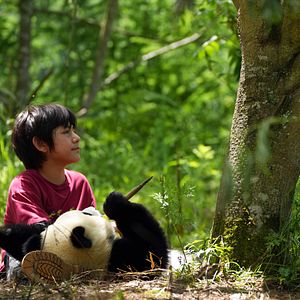 Bilder Moon, der Panda