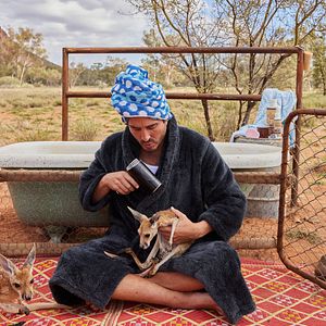 Bilder Lilly und die Kängurus