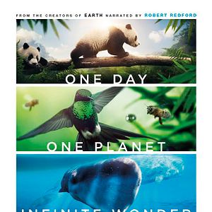 Bilder Unsere Erde 2