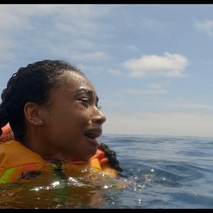 Bilder Flycatcher - Survival Has Its Price