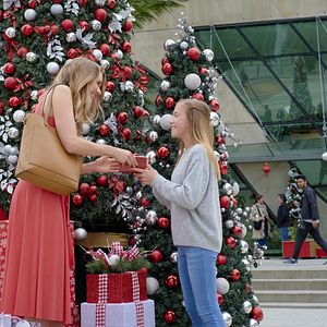 Bilder Mein Schwarm zu Weihnachten
