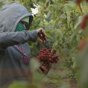 Bilder Henry Fonda For President