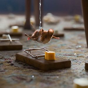 Bilder Mission: Mäusejagd - Chaos unterm Weihnachtsbaum