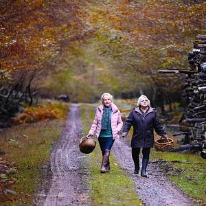 Bilder Josiane Balasko