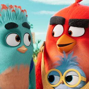 Bilder The Angry Birds 3 - Der Film