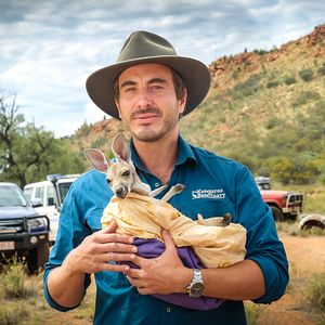 Bilder Lilly und die Kängurus